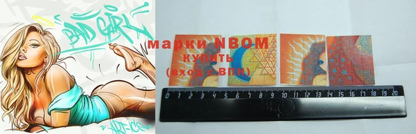 дурь Инта