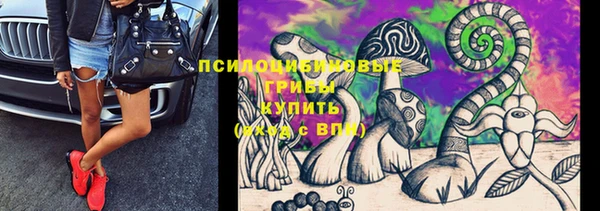 спиды Касимов