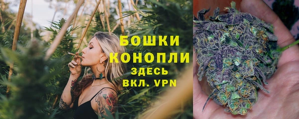 ECSTASY Пенза