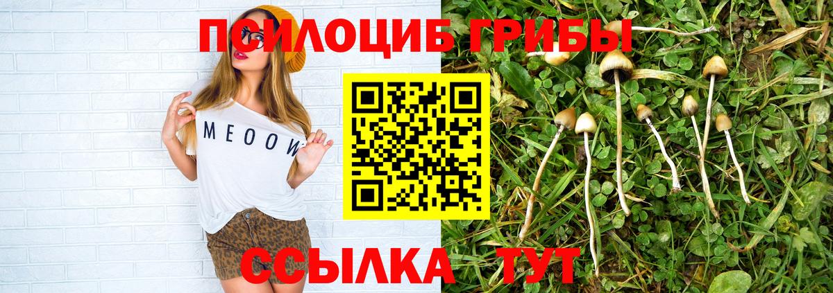 Майский  даркнет сайт  Вход с VPN  Галлюциногенные грибы MAGIC MUSHROOMS 
