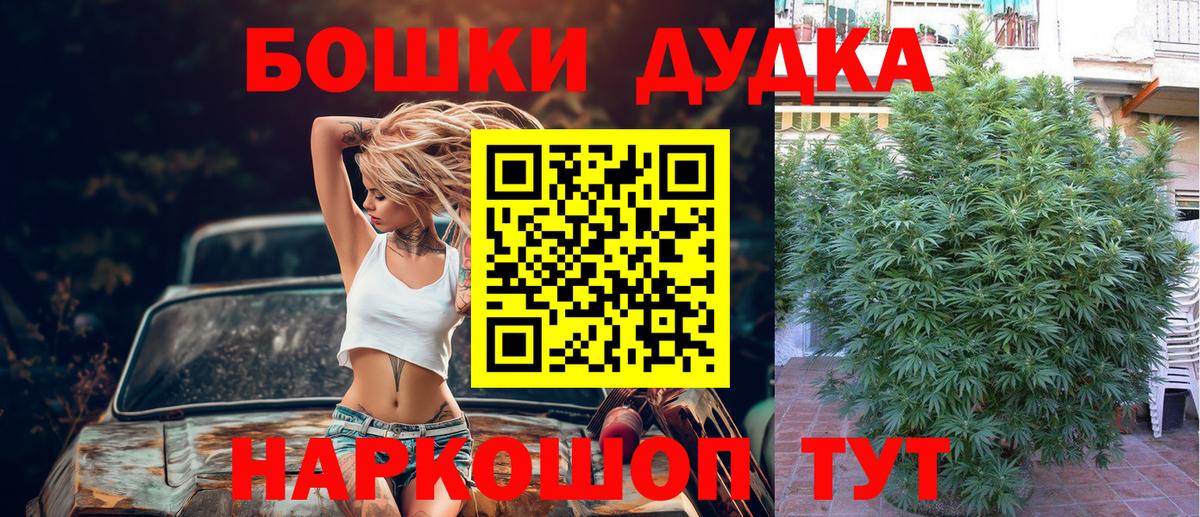 Шишки марихуана марихуана  Бошки Шишки тримм  Вход с VPN  Бошки Шишки планчик  Майский 